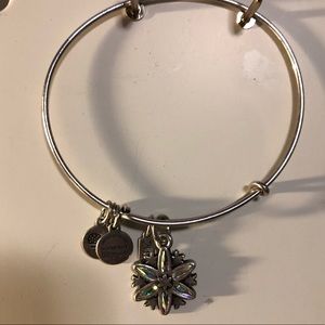 Alex and Ani 2017 winter bracelet
